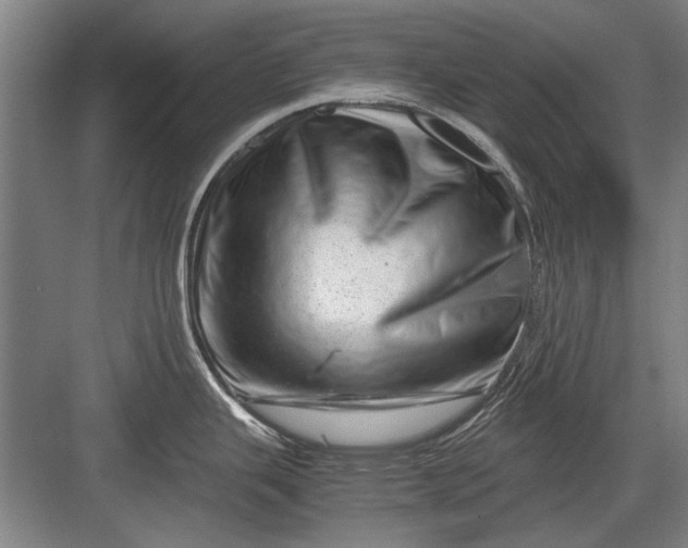 X0000082951343200702152230