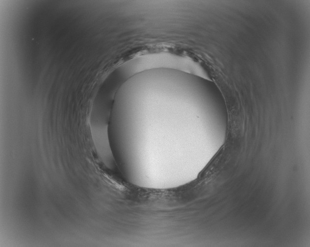 X0000082951345200702152229