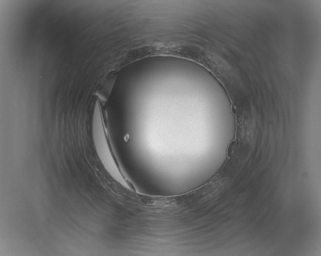 X0000082951346200702152229