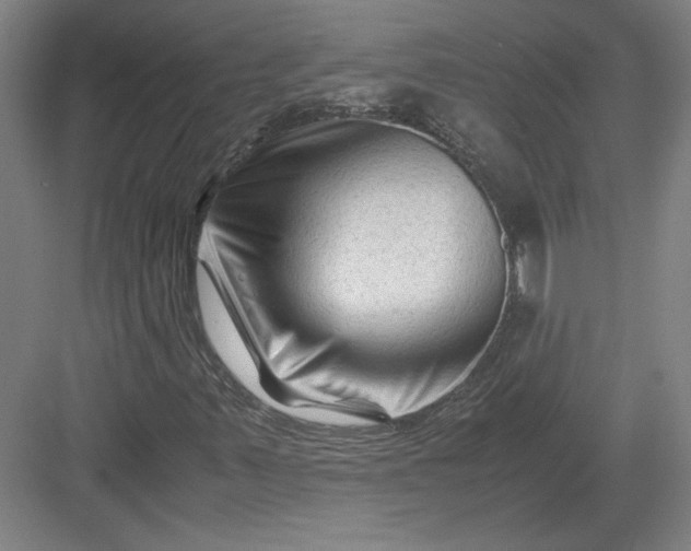 X0000082951347200702152229