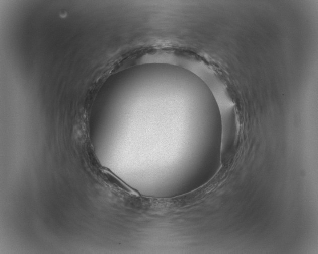 X0000082951349200702152229