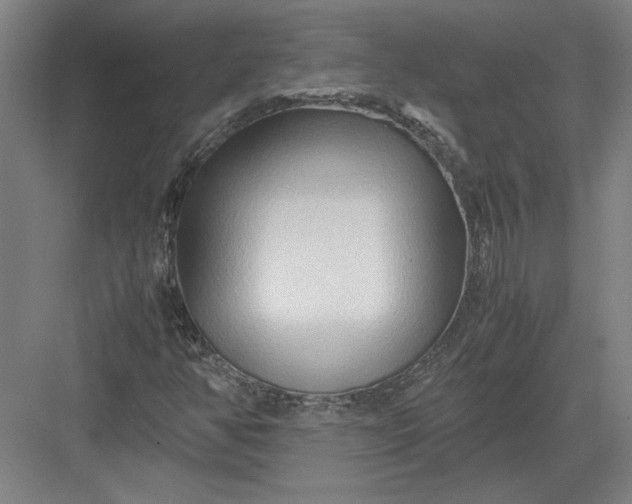 X0000082951350200702152229