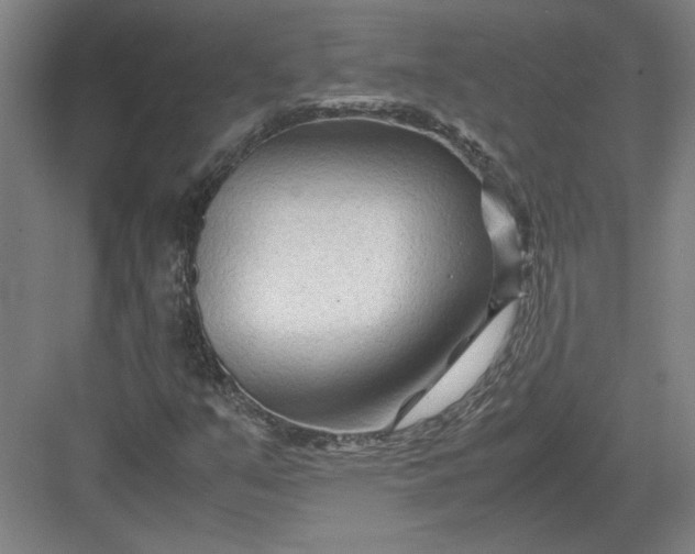 X0000082951351200702152229