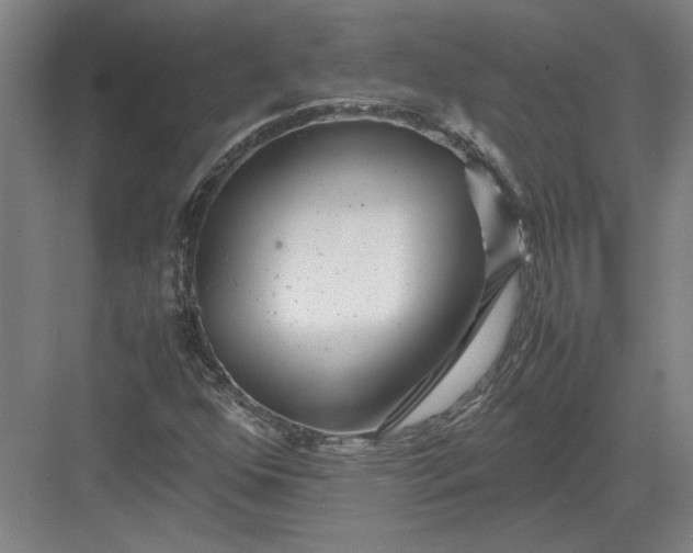 X0000082951352200702152229