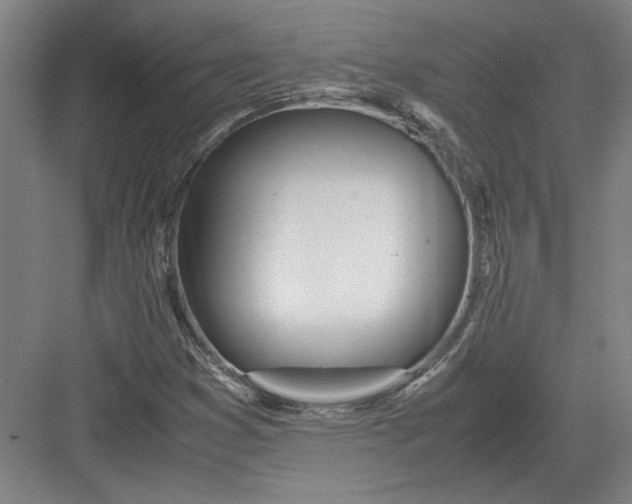 X0000082951353200702152229