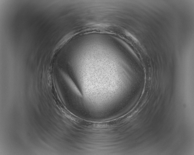 X0000082951354200702152229