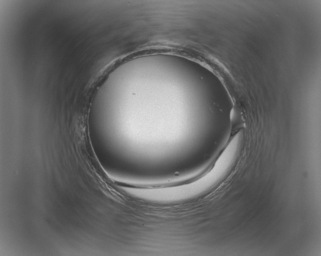 X0000082951355200702152229
