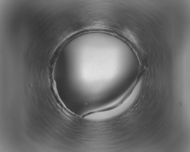 X0000082951356200702152229