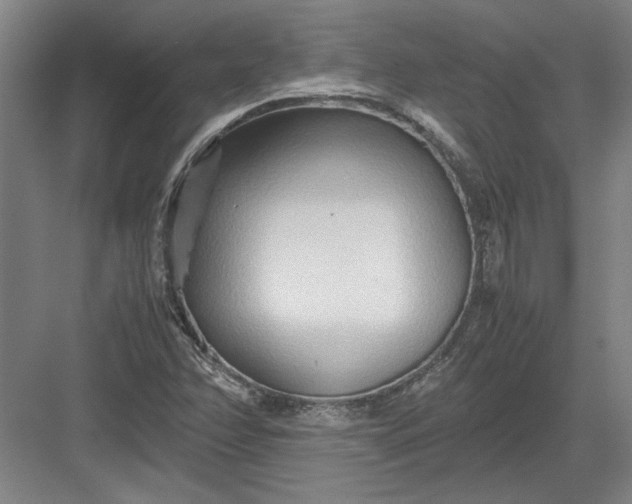 X0000082951358200702152229