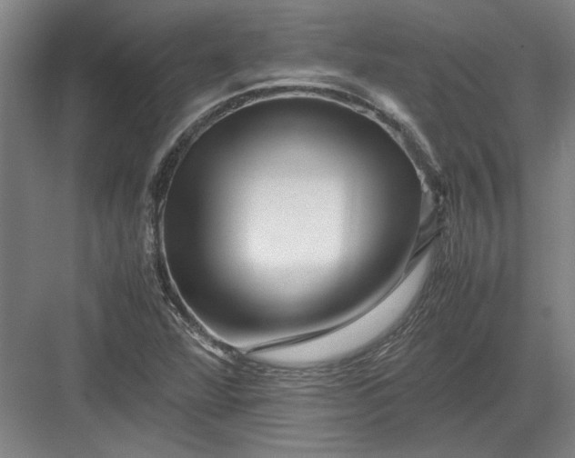 X0000082951360200702152229