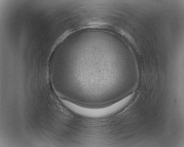 X0000082951362200702152229
