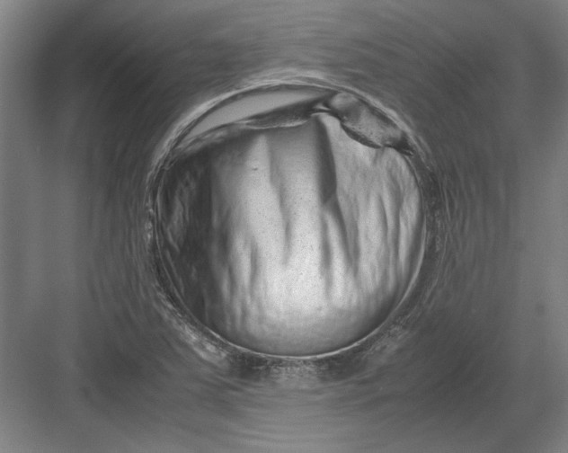 X0000082951363200702152229
