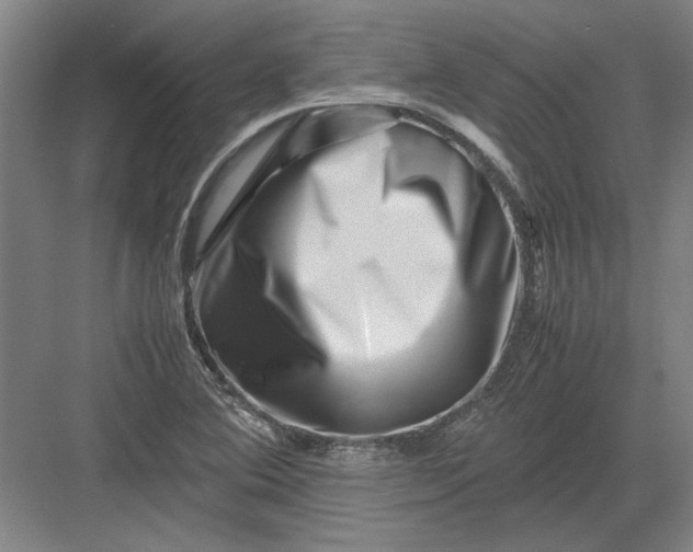 X0000082951364200702152229