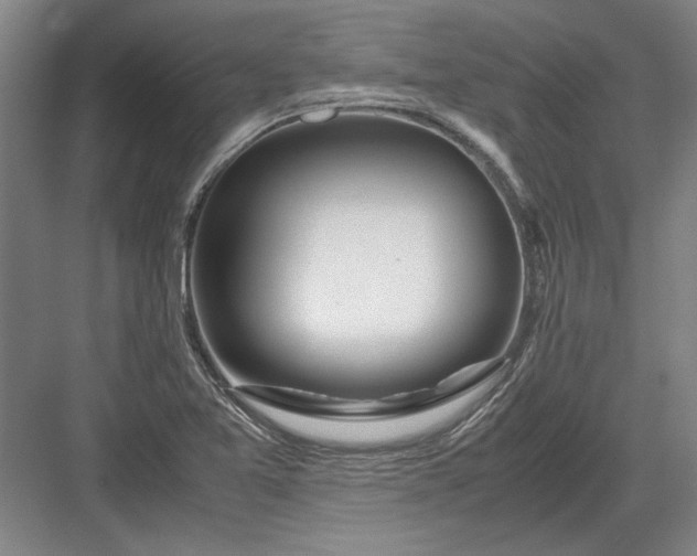X0000082951365200702152229