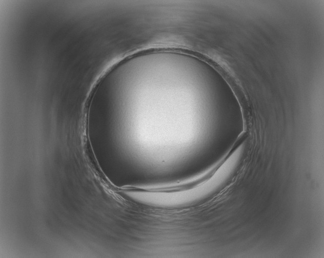 X0000082951366200702152229