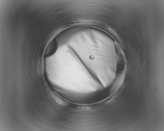 X0000082951370200702152229