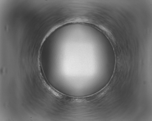 X0000082951374200702152229