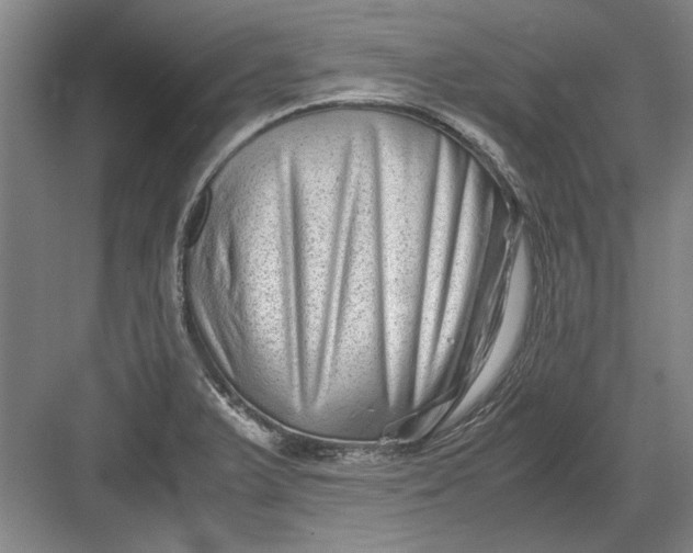 X0000082951375200702152229