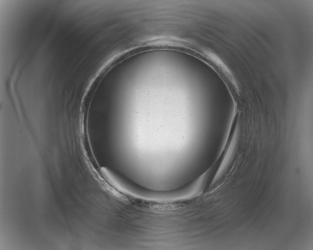X0000082951376200702152229