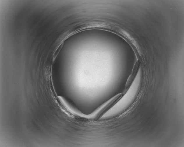 X0000082951377200702152229