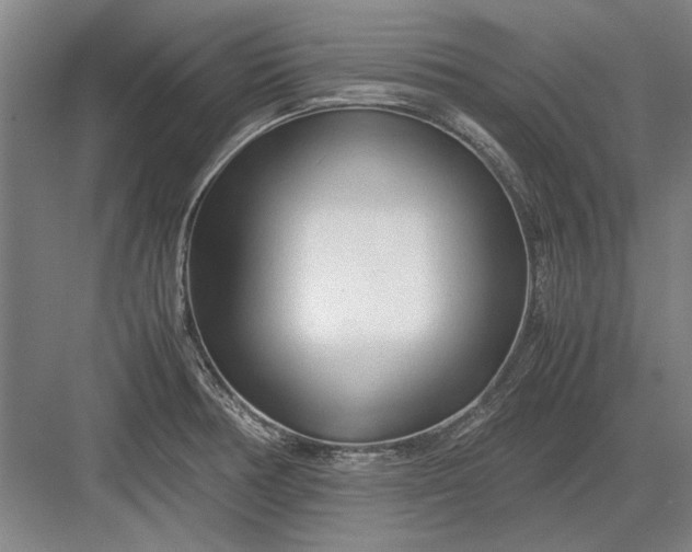 X0000082951378200702152229