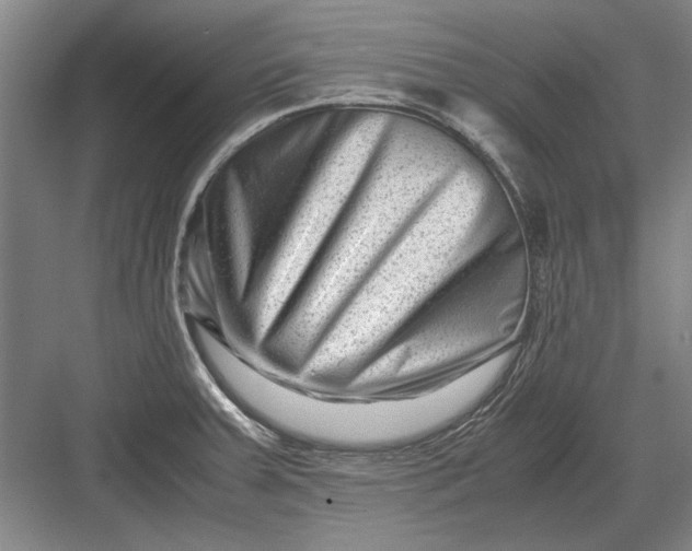X0000082951379200702152229
