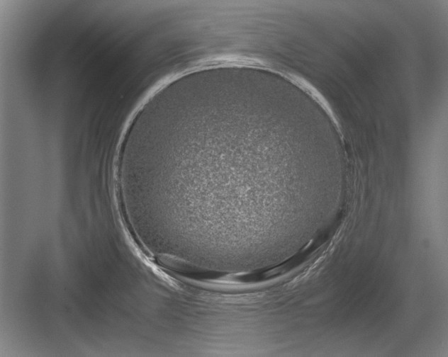 X0000082951381200702152229
