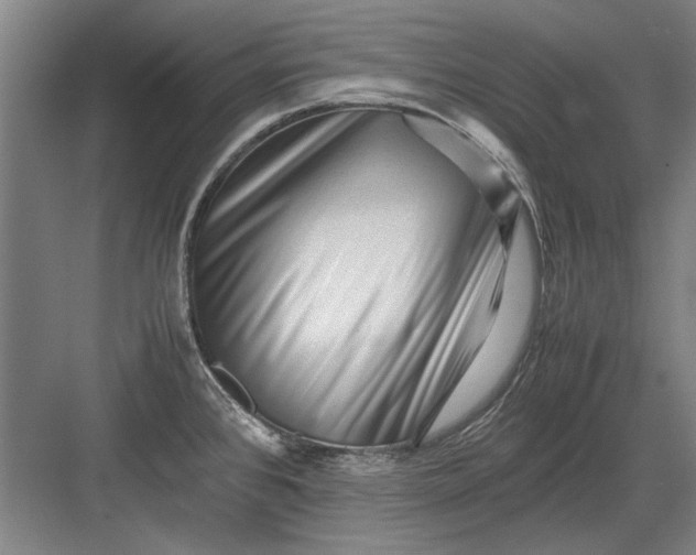 X0000082951384200702152229