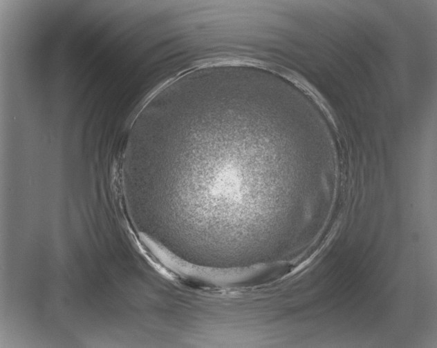 X0000082951385200702152229