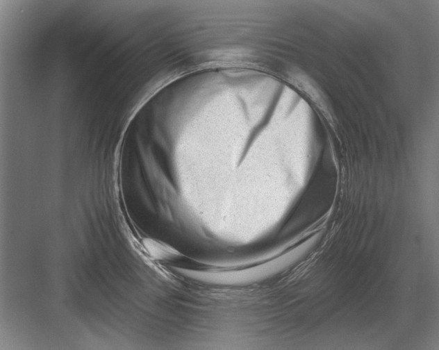 X0000082951386200702152229