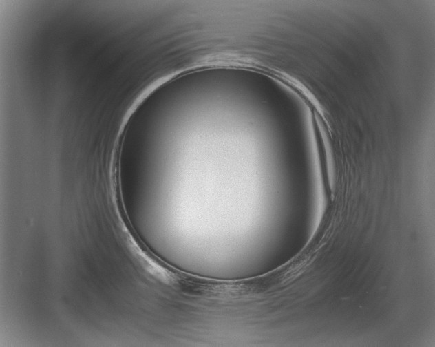 X0000082951387200702152229