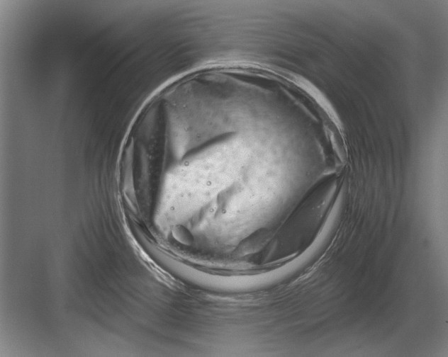 X0000082951388200702152229