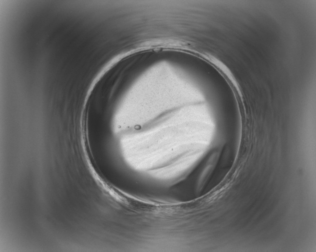 X0000082951389200702152228