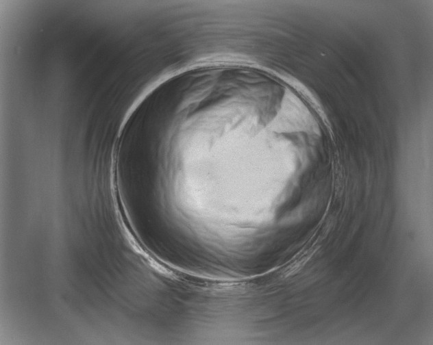 X0000082951390200702152228