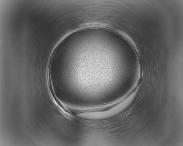 X0000082951391200702152228