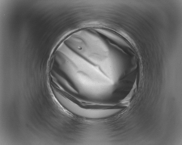 X0000082951392200702152228