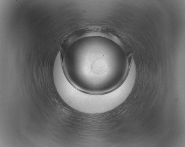 X0000082951394200702152228