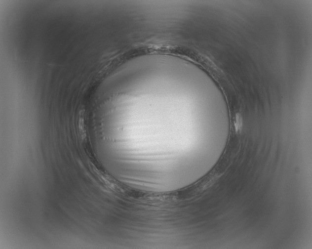 X0000082951396200702152228