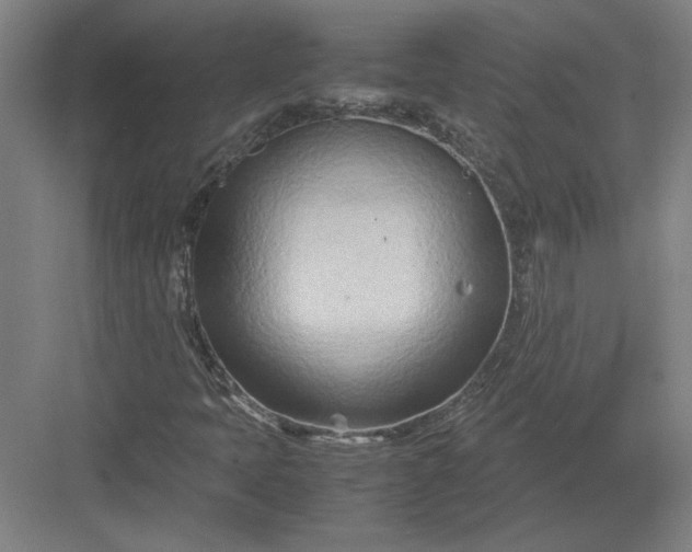 X0000082951397200702152228