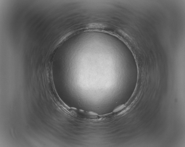 X0000082951401200702152228