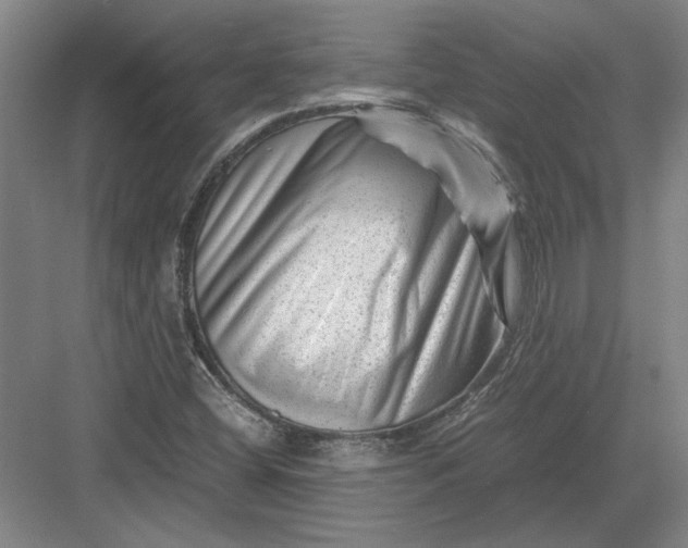 X0000082951404200702152228