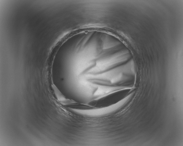 X0000082951406200702152228