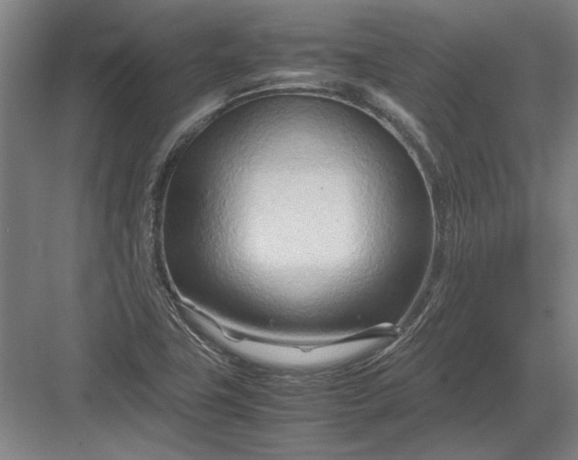 X0000082951411200702152228