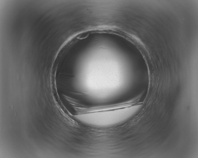 X0000082951412200702152228