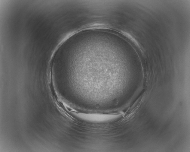 X0000082951413200702152228