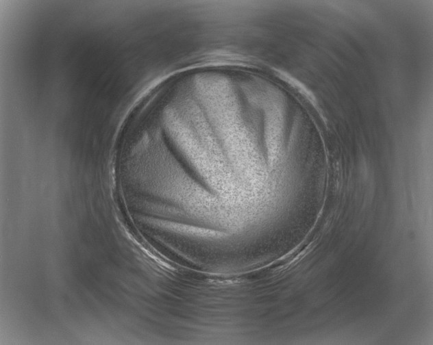X0000082951415200702152228