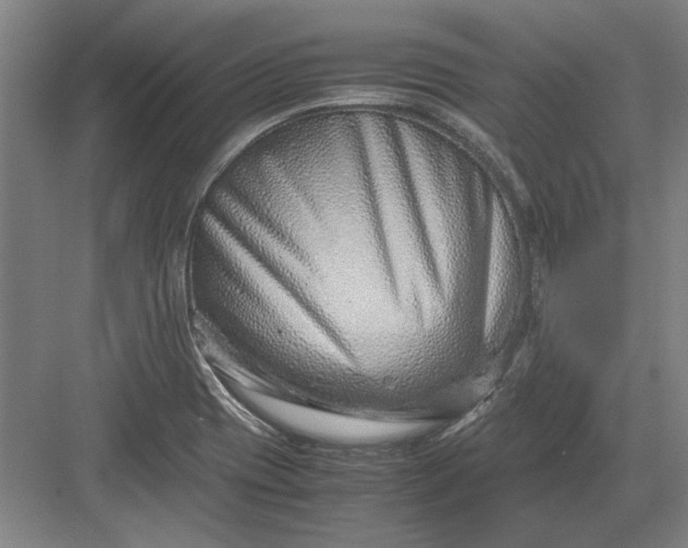 X0000082951417200702152228