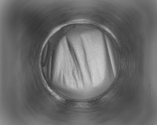 X0000082951421200702152228