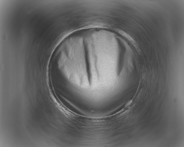 X0000082951423200702152228