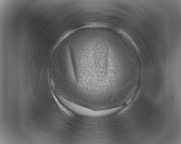 X0000082951425200702152228